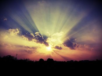 Silhouette of trees at sunset