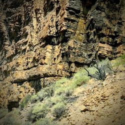 Close-up of old wall