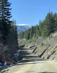 Dirt road amidst trees and mountains against sky