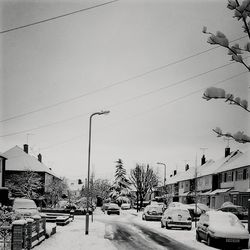 View of city street