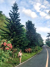 Road amidst plants against sky