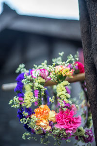 Close-up of flowers blooming outdoors