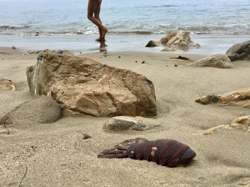 Rocks on beach