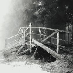 Abandoned built structure against trees