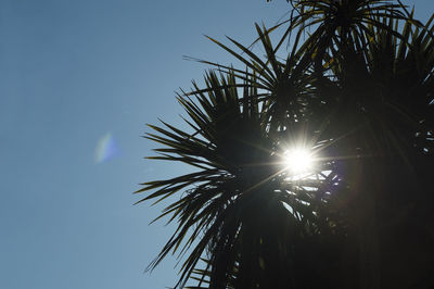 Low angle view of silhouette trees against blue sky