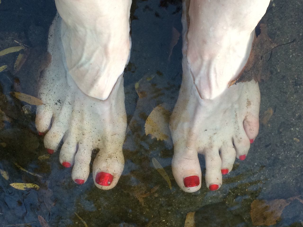 high angle view, low section, animal themes, part of, close-up, standing, outdoors, day, white color, person, dirty, human foot, shoe, sand, men, messy