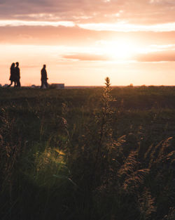 Silhouette plants on field against sky during sunset