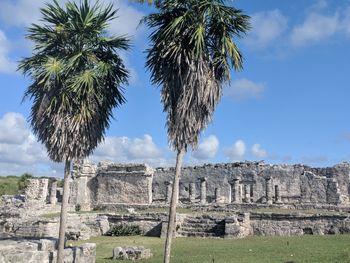 Palm trees at old ruins against blue sky