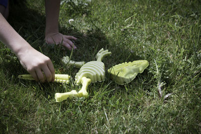 Cropped hands of child making dinosaur with artificial bones on field