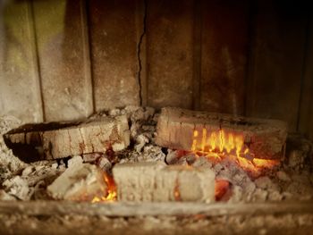 Close-up of fire on log