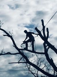 Low angle view of silhouette bare tree against sky