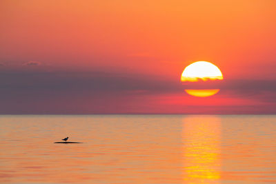 Scenic view of sea against orange sky