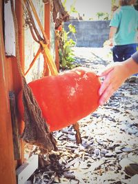 Close-up of hand holding red chili peppers