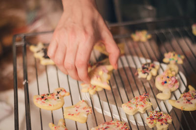 Close-up of hand picking up christmas cookie