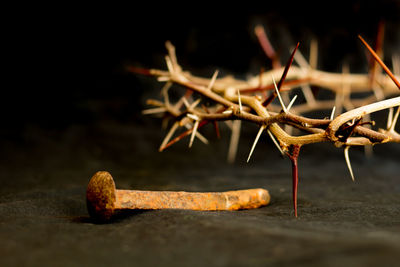 Crown of thorns and nails symbols of the christian crucifixion in easter