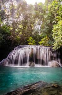 Scenic view of waterfall in forest