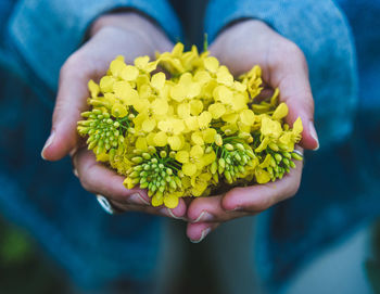 Close-up of hand holding yellow flower