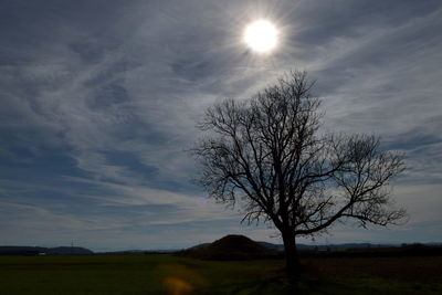 Bare tree on field against sky during sunset