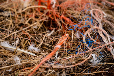 Close-up of fishing net