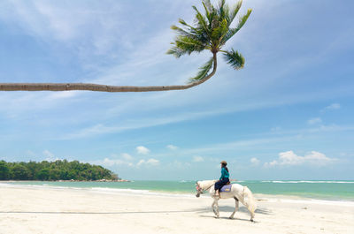 View of people riding horses on beach against sky