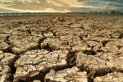 Close-up of rocks on field against sky