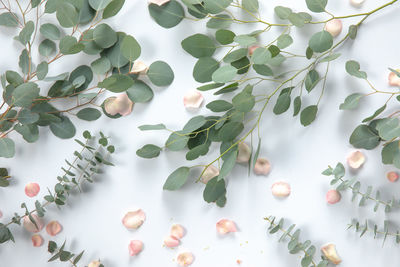 High angle view of leaves on table