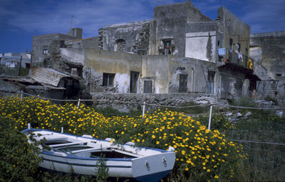 High angle view of flowering plants by old building