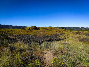 Scenic view of field against clear blue sky