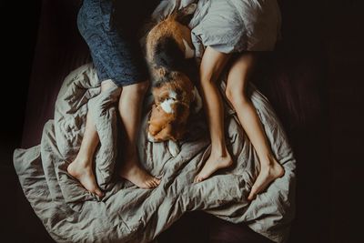 Midsection of woman with dog sitting on bed at home