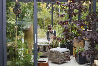 Rear view of woman looking through window