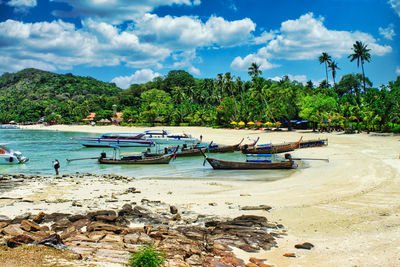 Boats moored in sea against sky