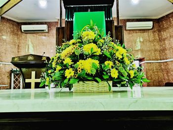 Potted plants on table against building