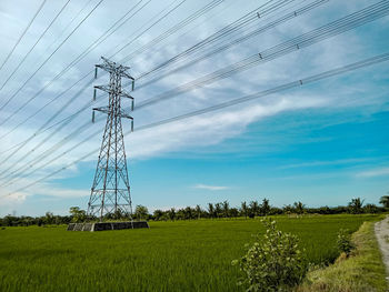 Electricity supply towers to homes in remote areas