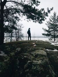 Rear view of silhouette man standing by tree against sky