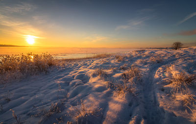 Scenic view of snow covered field by sea against sky during sunset