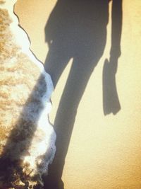 Shadow of people on wall