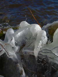 Close-up of sea shore