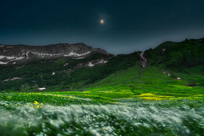 Scenic view of field against sky at night