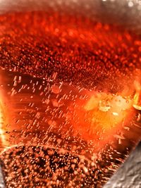 Close-up of red water