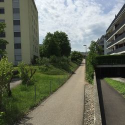 Footpath leading towards building