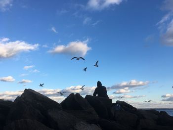 Low angle view of birds flying over rocks against sky