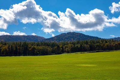 Scenic view of field against sky