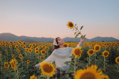 Close-up of yellow flowering plants on field against sky during sunset