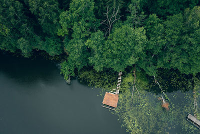 Beautiful aerial scenery with wooden pier on picturesque shore and trees on the water. 