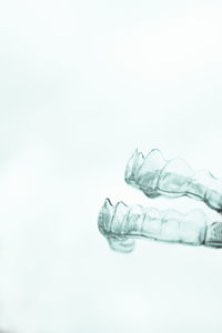 Close-up of glass bottle against white background