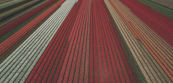 Full frame shot of multi colored flooring