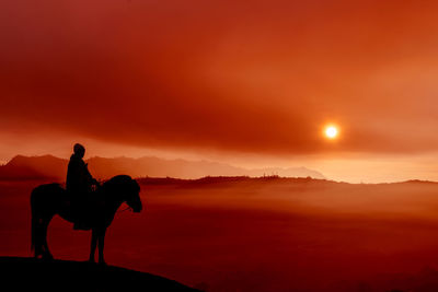 Silhouette man with horse on hill against dramatic sky during sunrise