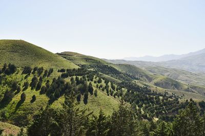 Scenic view of landscape against clear sky