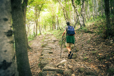 Middle age man walking in the mountain forest. male with backpack do hike in the nature guy trekking