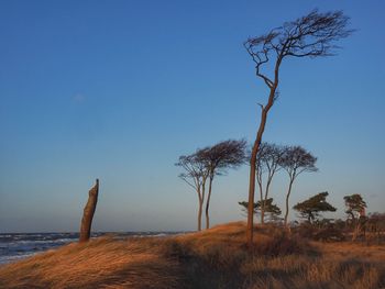 Scenic view of sea against clear blue sky